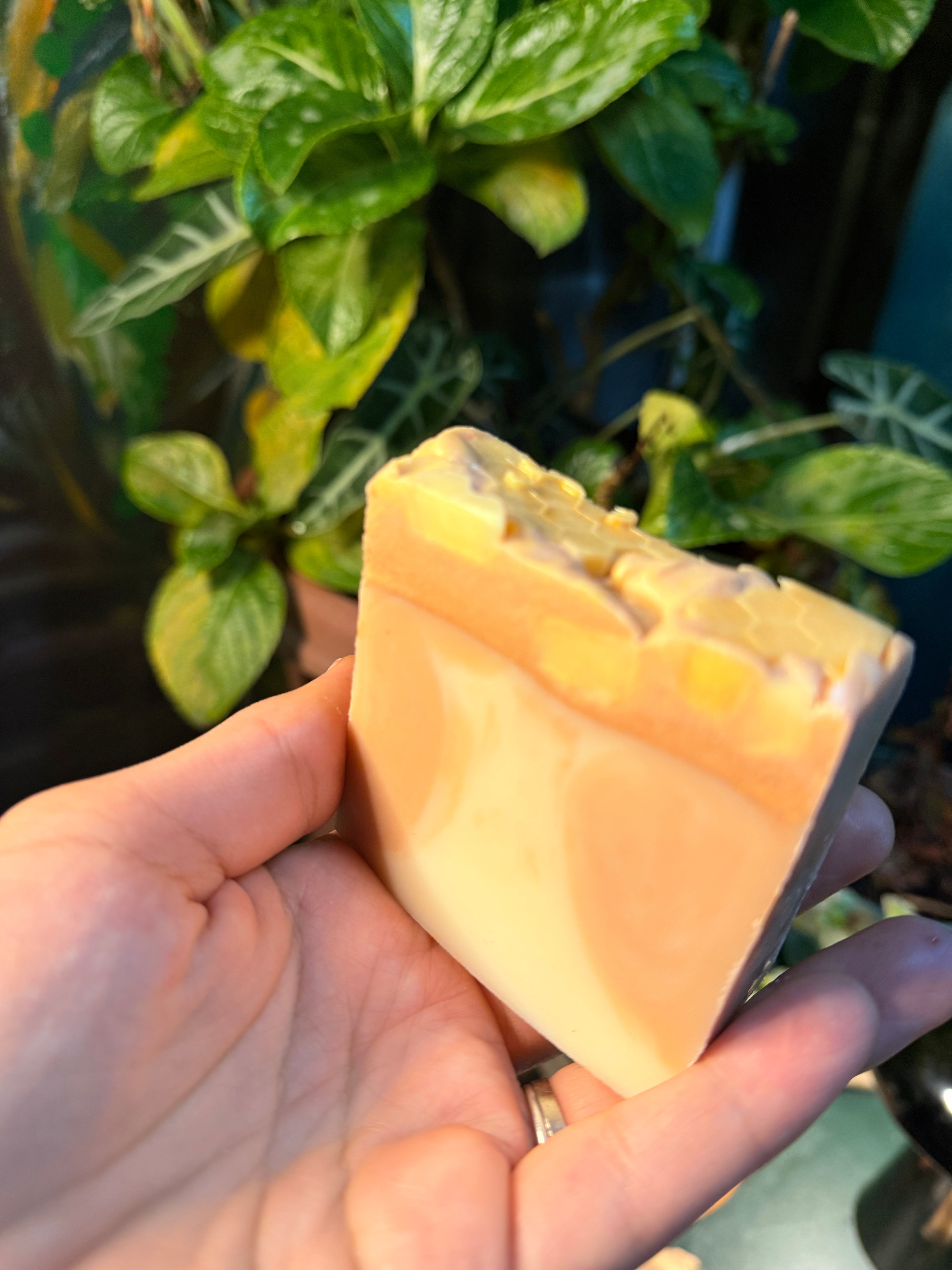 Honey Honey | Handmade Australian Soap